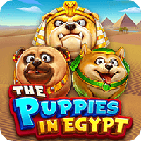 The Puppies In Egypt